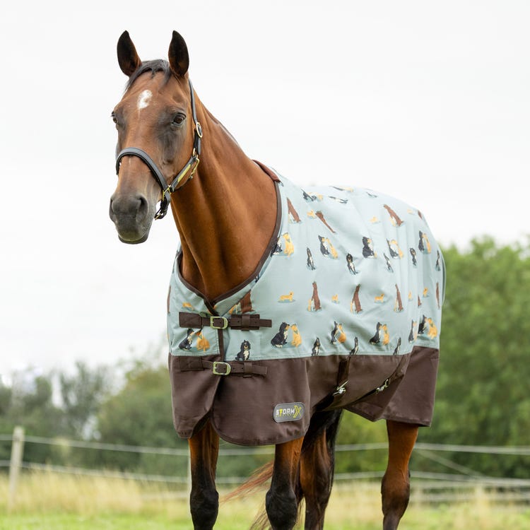 StormX Original It's A Dogs Life 0 Turnout Rug image 3